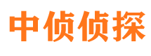 崇明侦探公司